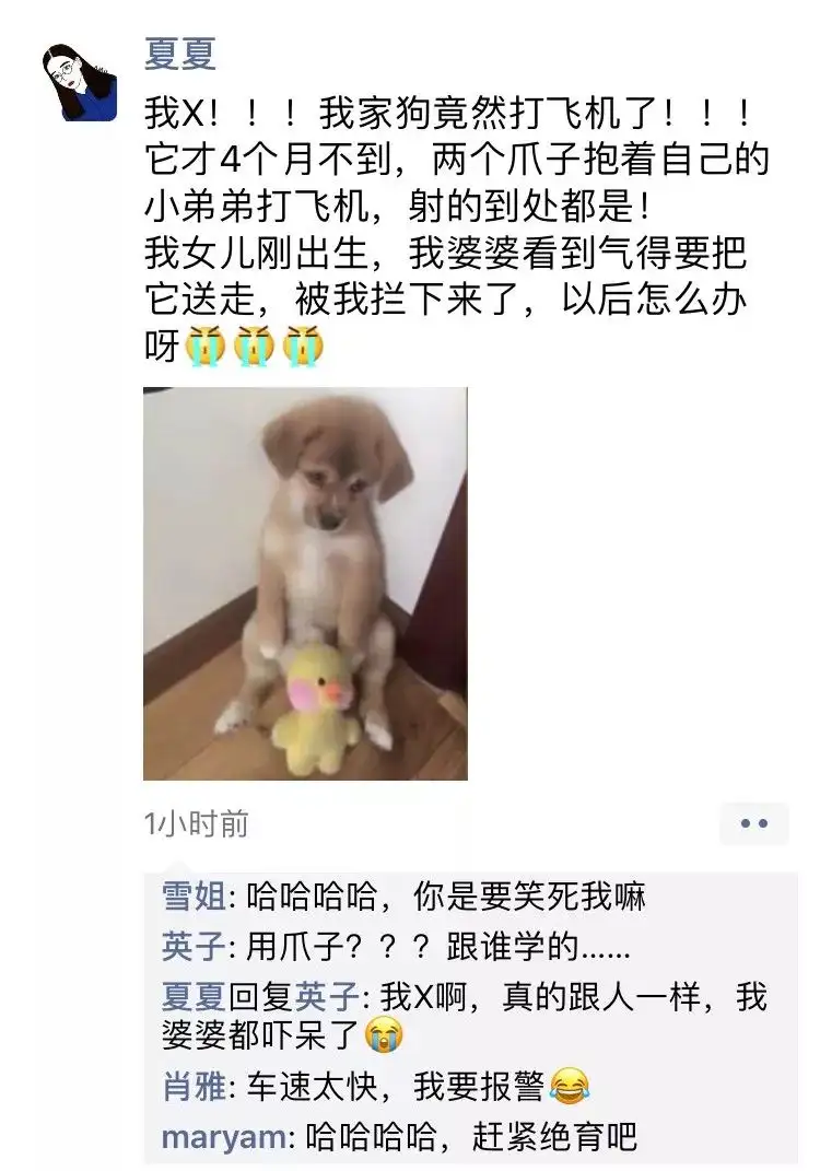 犬 自慰