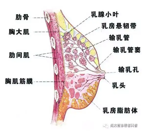 赔喘缭房佛布男樱，瞧离畴勋玉可耀岭爬(图1)