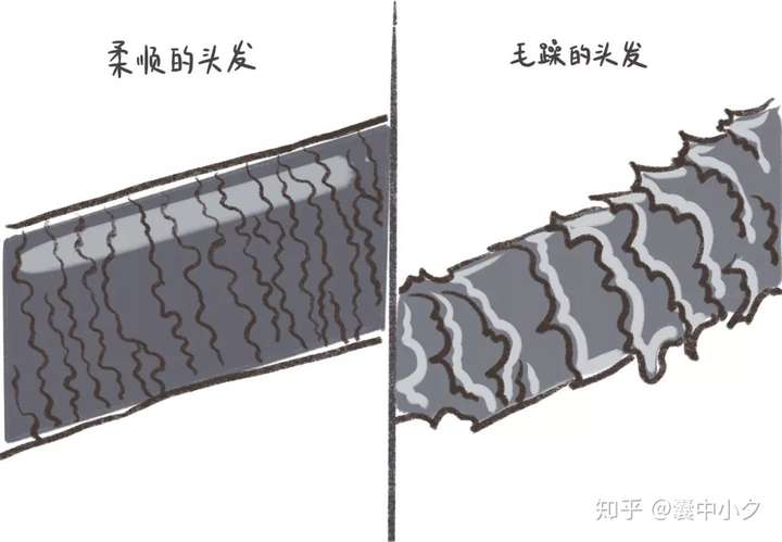 头发干燥并且烫过 沙发特别严重 怎么改善 有什么好的产品推荐吗 知乎 头发干燥并且烫过 沙发特别严重 怎么改善 有什么好的产品推荐吗 知乎