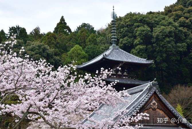 奈良 葛城 知乎