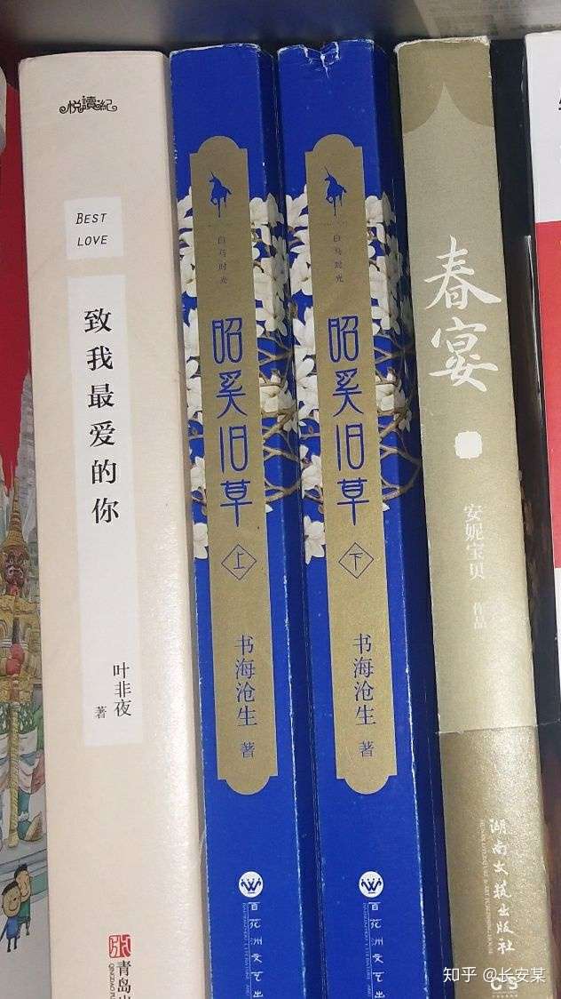 如何评价书海沧生的昭奚旧草