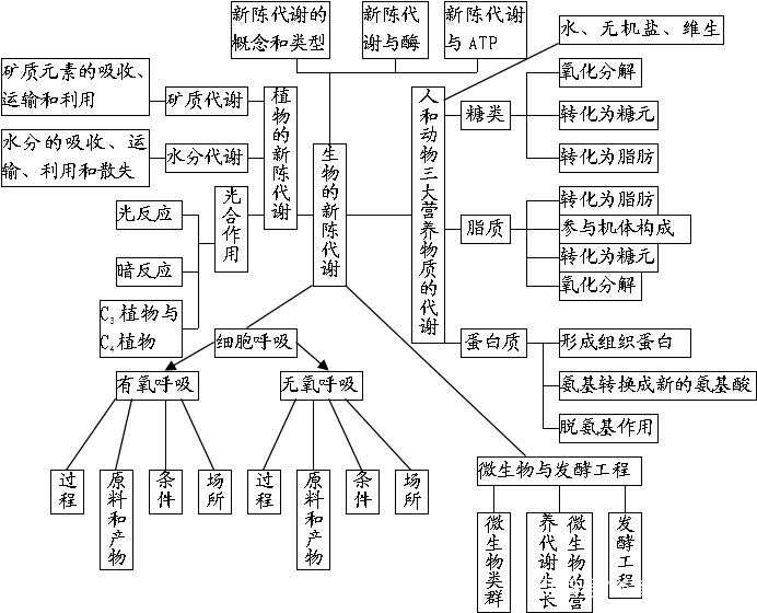 如何高效学习高中生物 知乎