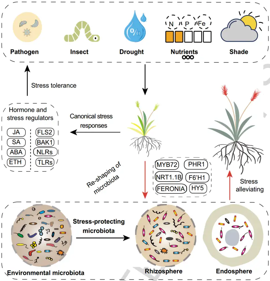 iMeta | 北大陈峰组综述口腔微生物组的标准化研究：从技术驱动到假说 