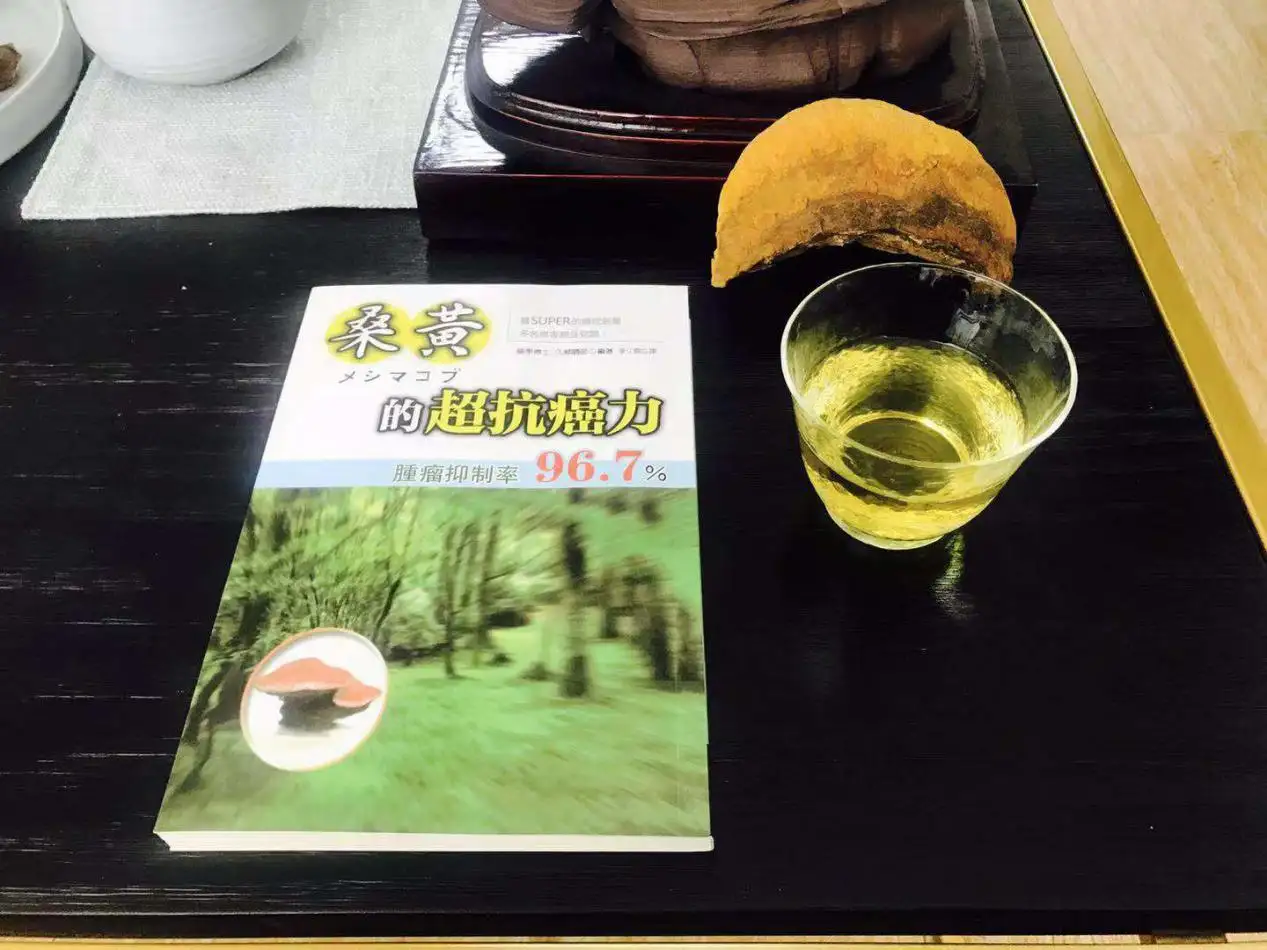桑黄到底多少钱一斤（桑黄多少钱一斤普通）