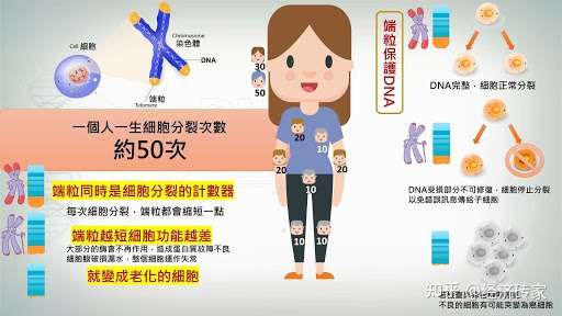 知乎专栏