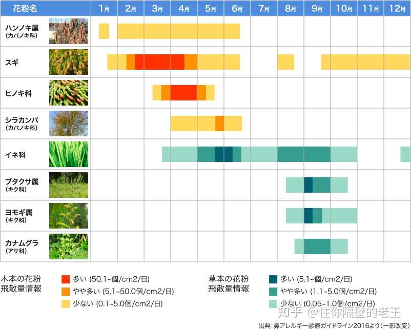 日本人的国民病 知乎 日本人的国民病 知乎
