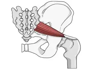 要说跷二郎腿让人感到舒服这件事,还得从人体的骨骼肌肉结构说起.