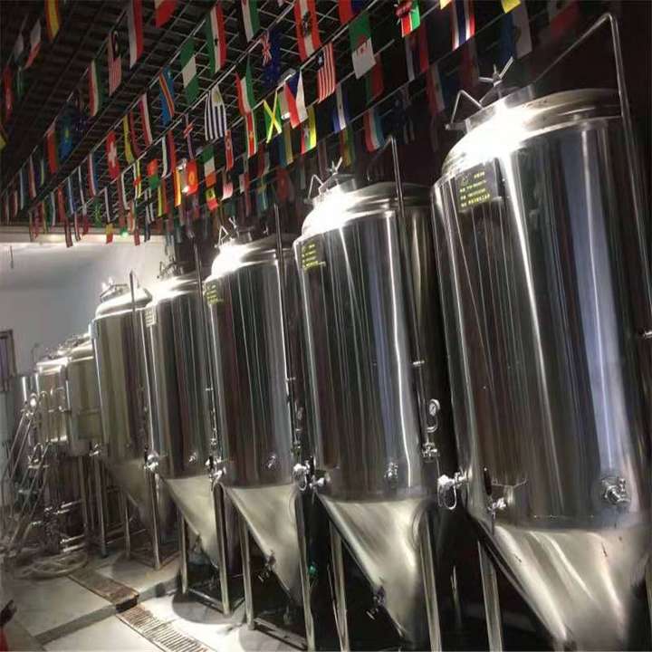 300升小型精酿啤酒设备