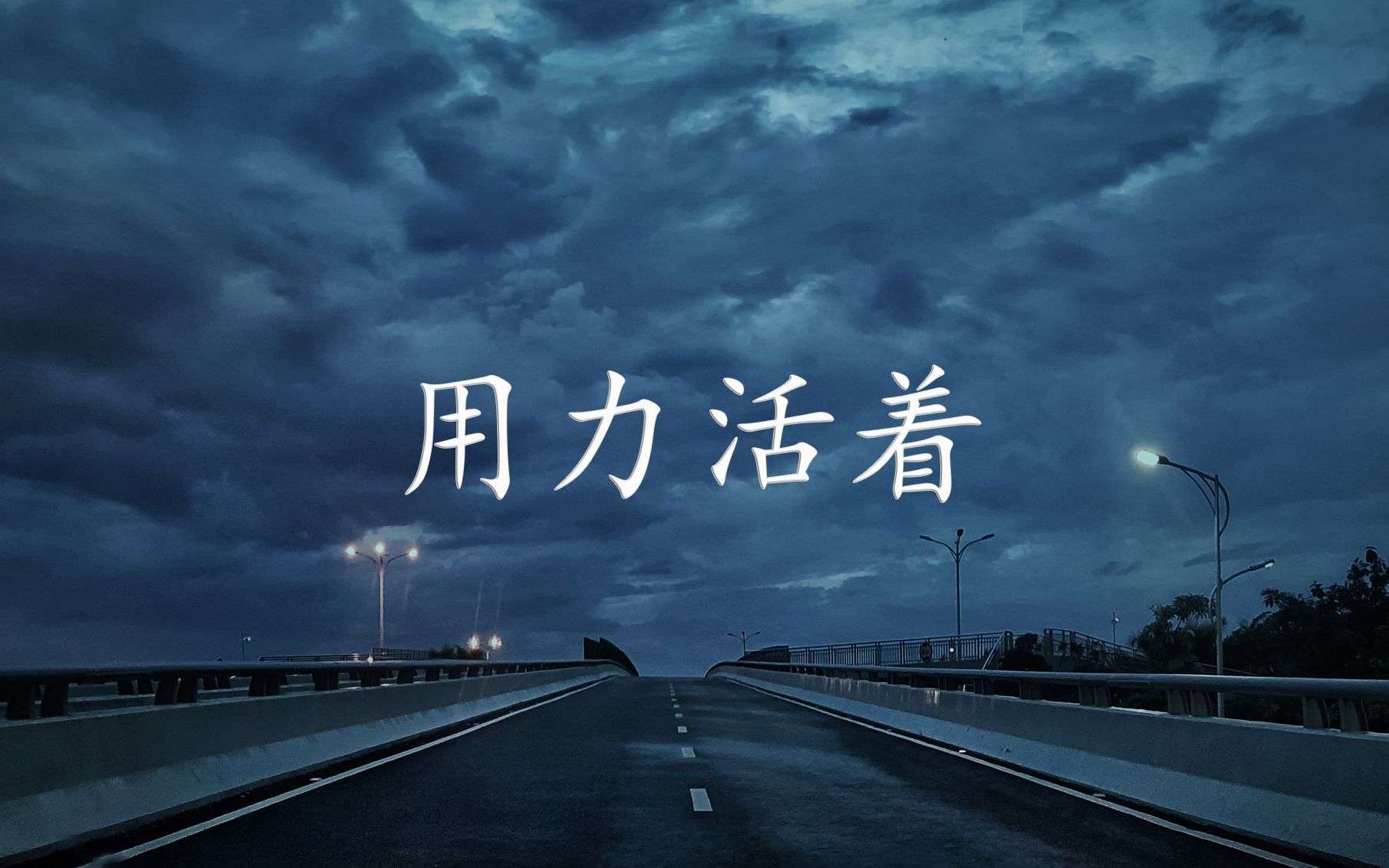 《用力活着》我们都在用力的活着 酸甜苦辣里醒过也醉过 也曾倔强