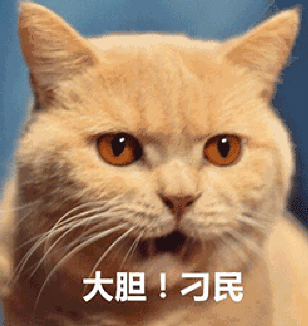 猫咪什么部位最让人欲罢不能 知乎