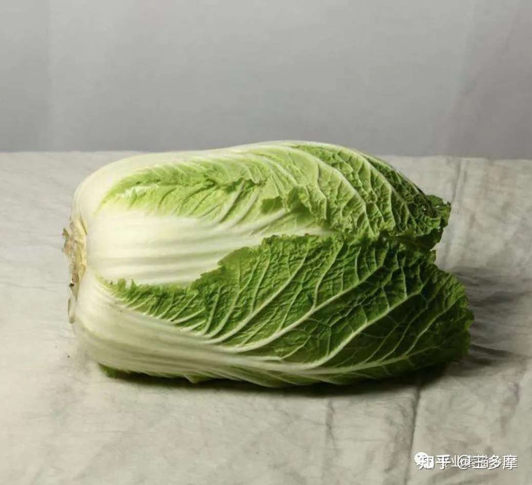 静物 白菜画法与步骤 知乎