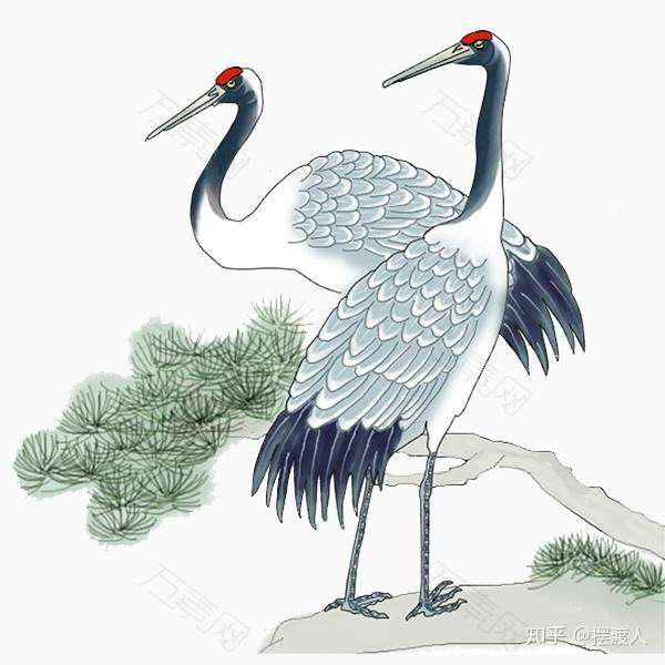 爱鹤失众 - 知乎