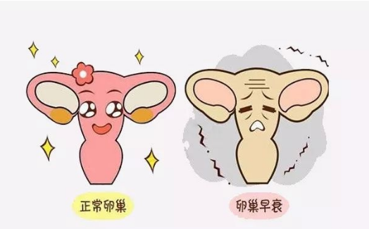 用这6招,轻松培养易孕体质插图(5) v2-a435bca982ce94fe9cfef2f8e612e021_720w.png插图(5)