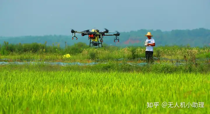 无人机+应用丨农林植保中无人机能发挥什么作用？《无人机应用》