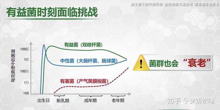 正常菌群名词解释 zhuanlan.zhihu.com