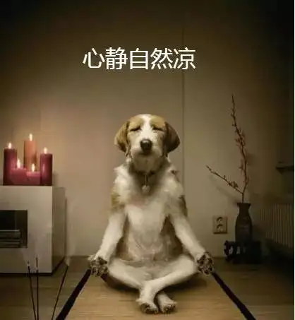 天啊入伏了赶紧找个清凉地避暑去