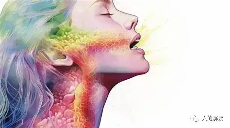 你的身体问题,往往根源于情绪-人的解读