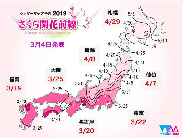 日本赏樱去哪里 雷区避免 好地推荐 知乎