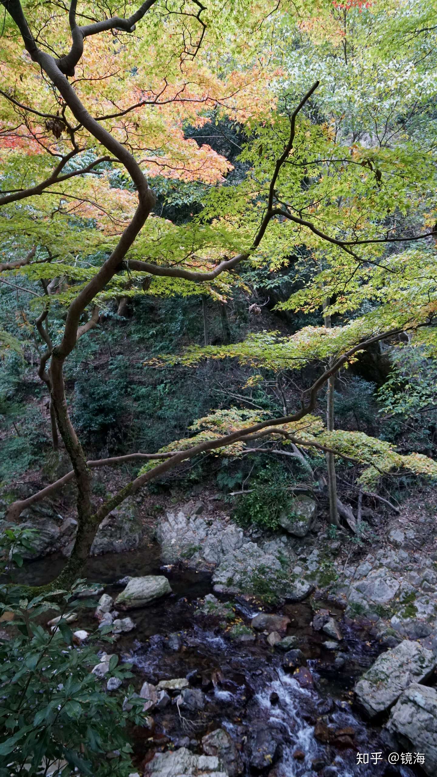 日本关西自由行游记 卷9甲 大阪 初见 知乎