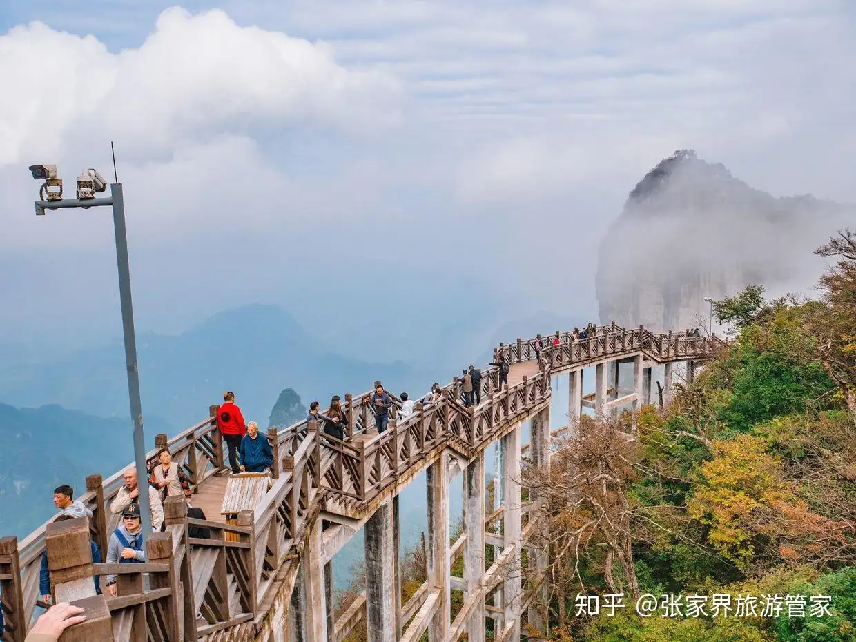 什么时候去张家界旅游最好 张家界最佳旅游时间是什么时候呢 知乎 什么时候去张家界旅游最好 张家界最佳旅游时间是什么时候呢 知乎