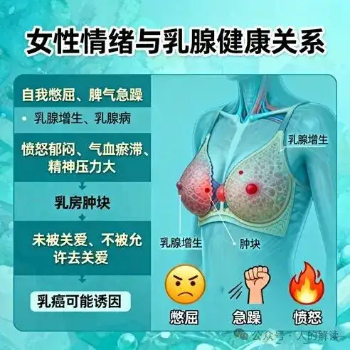 乳房问题背后的秘密:倾听身体的深层信号-人的解读