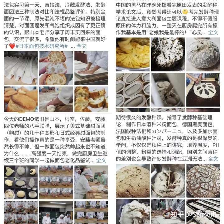 在日本面包技术研究所学习是一种什么样的体验
