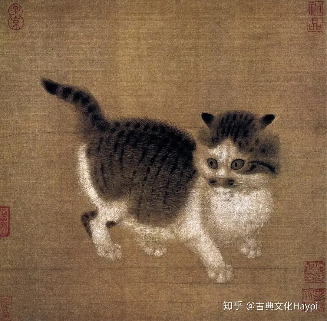 狸奴画影——中国历代名画中的猫- 知乎