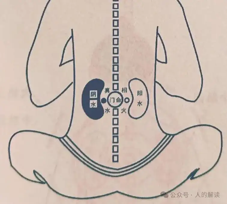 为何生命能量会流失-人的解读