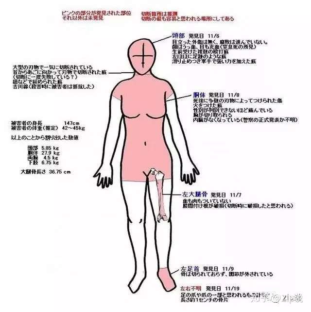 猎奇杀人案岛根女大学生尸体遗弃事件 知乎