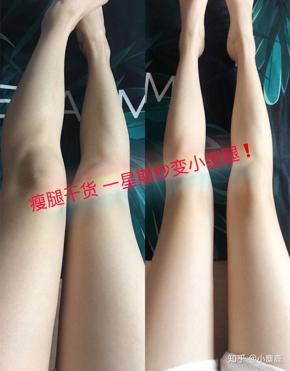 瘦腿干货 一星期秒变小细腿 知乎
