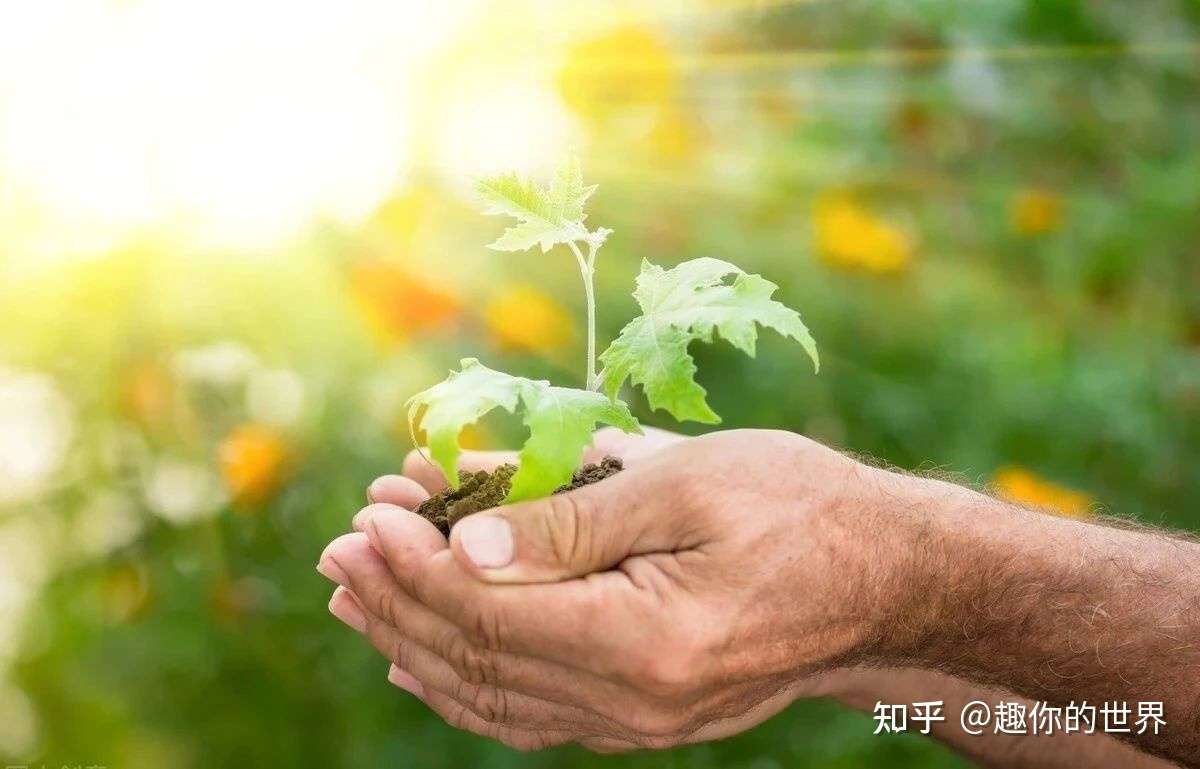 消失的陈光标 知乎