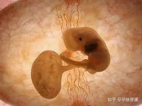 成都做三代试管婴儿多少钱（做试管婴儿必须注意的7个步骤）