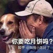 2021年有什么值得推荐的好吃月饼？网红、好口碑、高性价比、送礼月饼推荐大合集