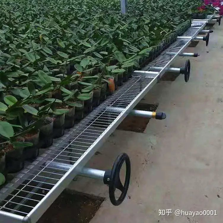 苗床网片育苗床温室苗床网厂家批发 知乎 苗床网片育苗床温室苗床网厂家批发 知乎