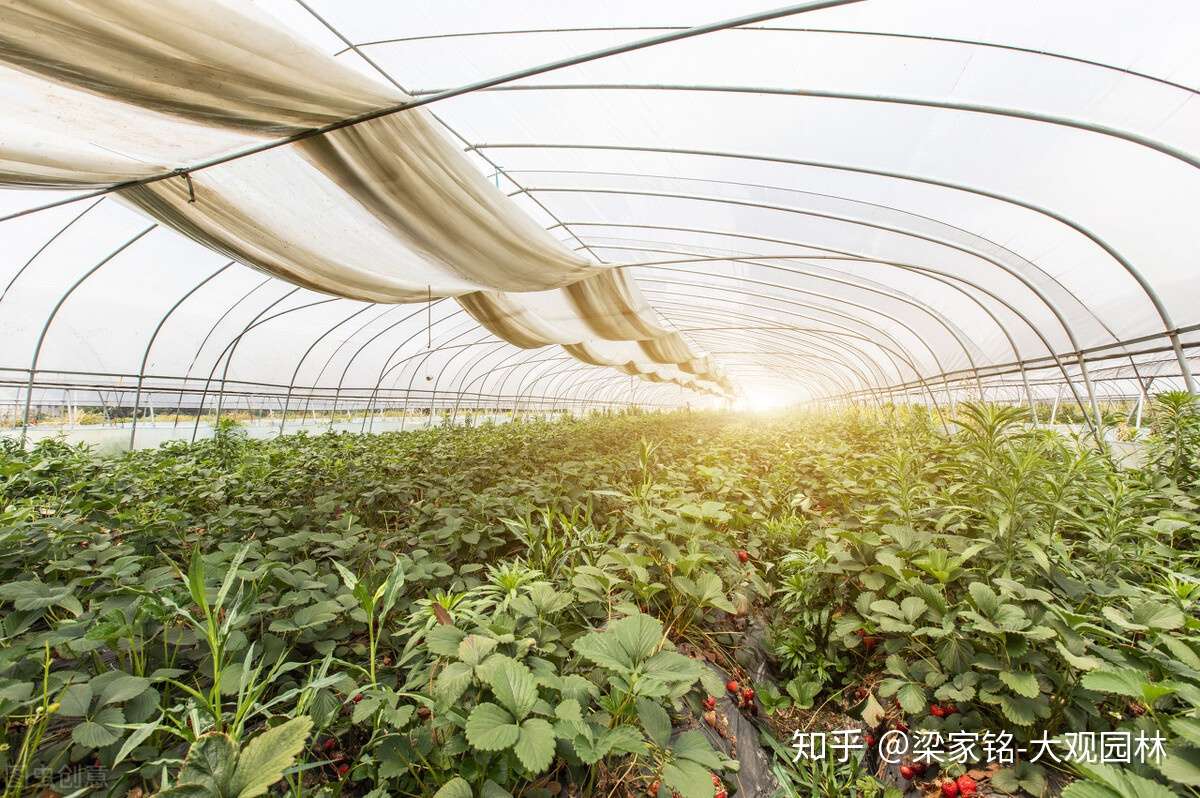 什么是园林植物栽培设施 如何才能利用好 知乎
