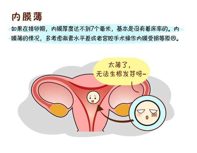 吃榴莲长内膜?苹果减内膜?是真的吗?插图 v2-a9efd1472d5df75f2a78f9d0db1de661_720w.jpg插图