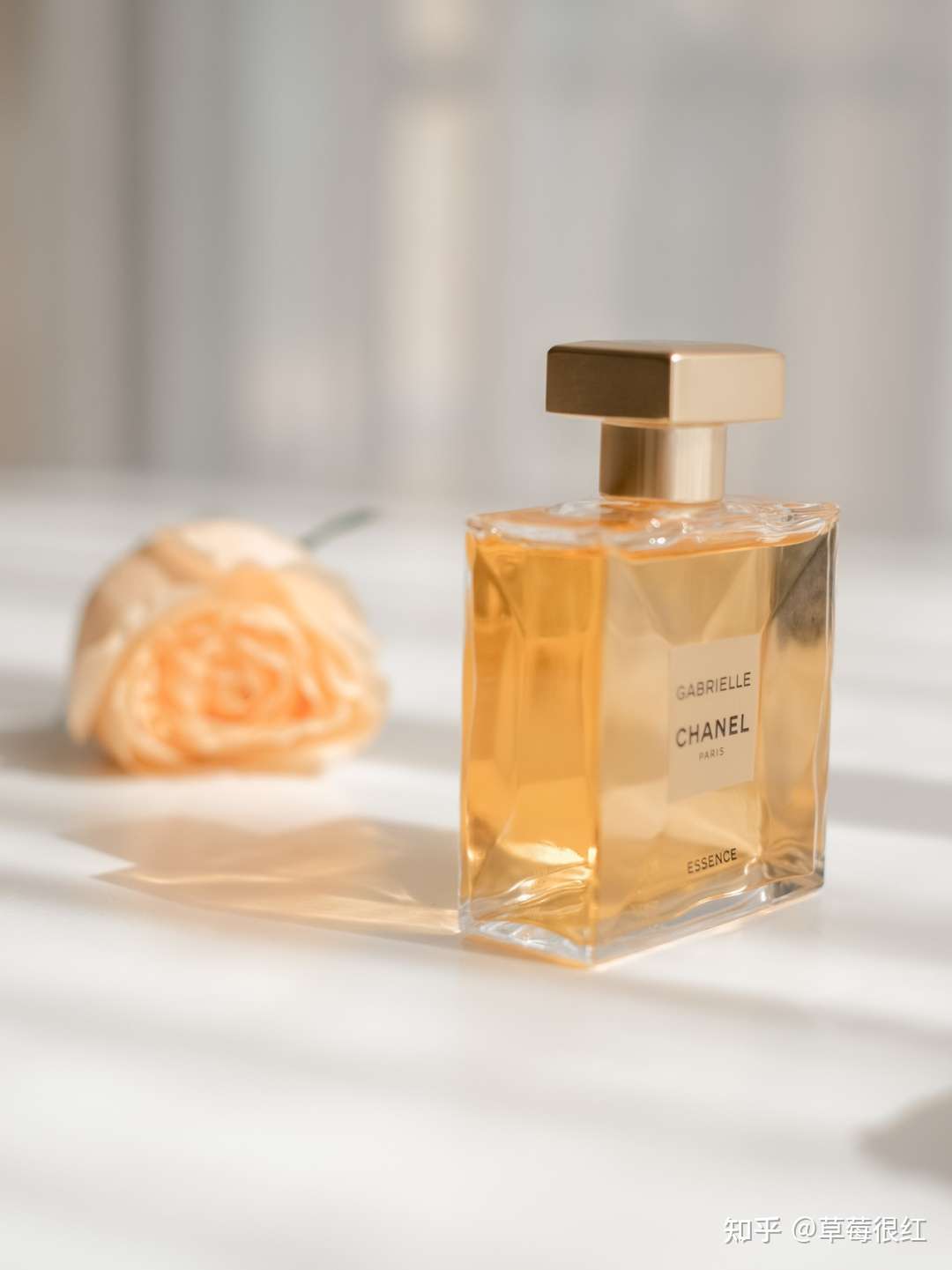吹风姐姐很美 的想法: 这款香水(essence)以香奈儿女士本命"… - 知乎