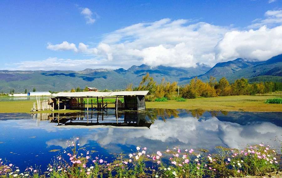 节气 立秋 夏未尽 秋已至 宜出游寻秋 知乎