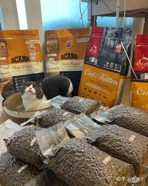 猫粮批发市场进货渠道