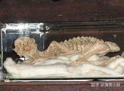 不过传说日本的瑞龙寺倒是保存一具河童木乃伊,但是较为可惜的是他并