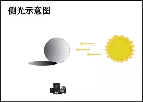 课程门户-章节详情