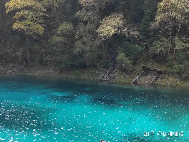 跟团游九寨沟三天两夜分享