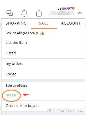 Allegro 平台批量发布 Offer 指引
