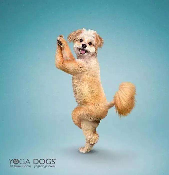 liforme教你零基础练瑜伽丨鹰式