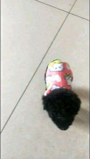 v2-abba1a705fc1153c3a51c3487b0fb16c_bh.jpg?source=1940ef5c