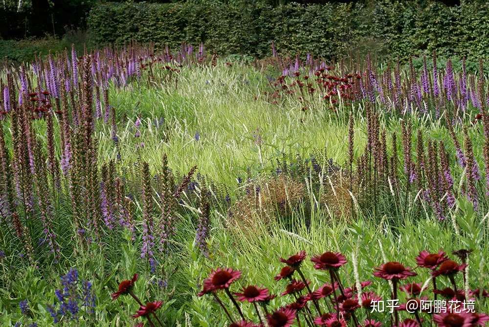 原创 花境按植物材料的分类有哪些 及各自优缺点 知乎