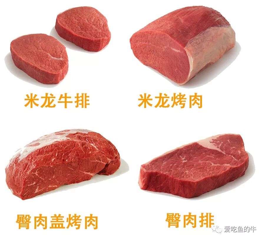 牛排部位详解 让你像屠夫一样熟知牛肉的终极指南 下 知乎 牛排部位详解 让你像屠夫一样熟知牛肉的终极指南 下 知乎
