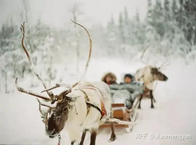 在北欧才是生活吧 知乎