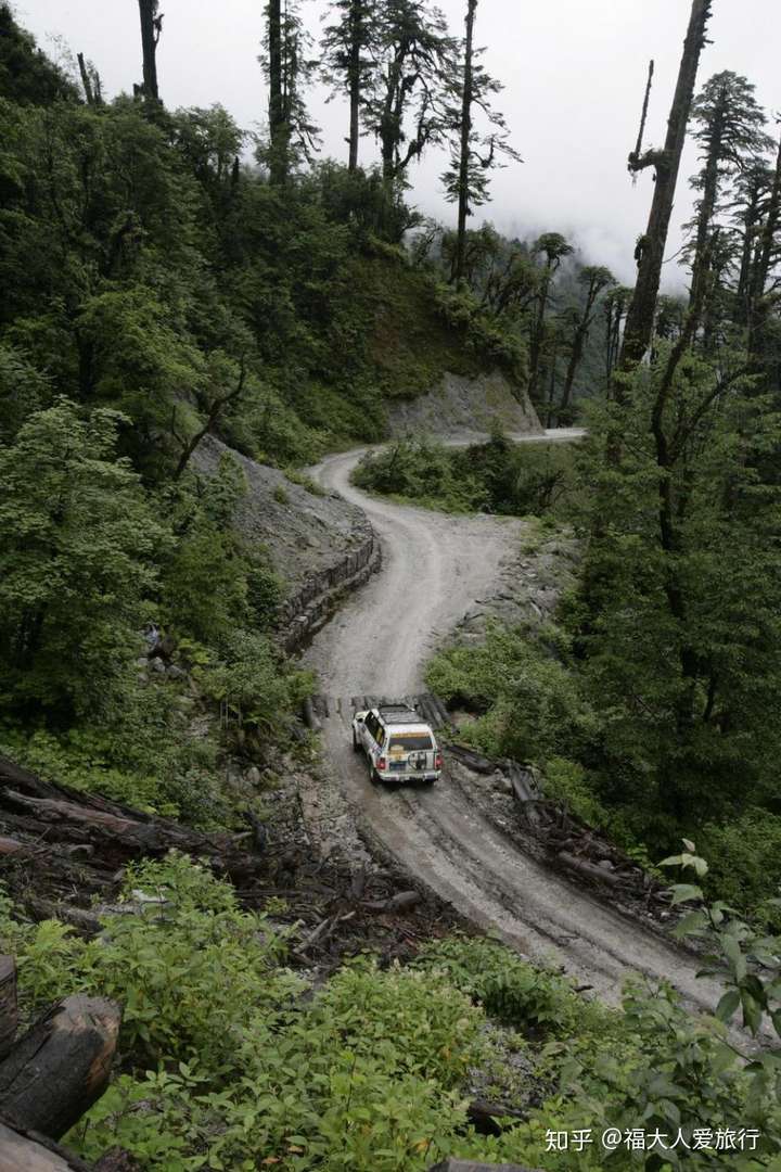 墨脱蚂蝗山图片