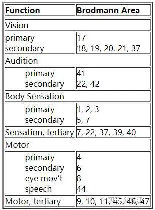 大脑52分区(布罗德曼分区)系统简介 - 知乎